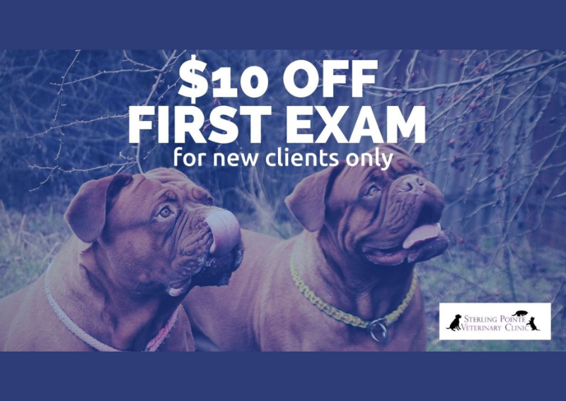 Carousel Slide 3: Welcome new patients! Claim a gift for Fluffy's first visit.